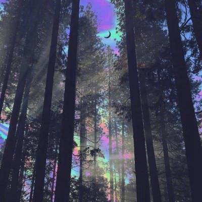 360版我叫mt奇幻之旅下载